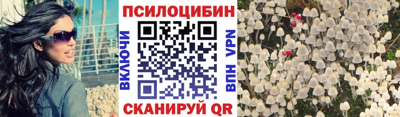 Псилоцибиновые грибы MAGIC MUSHROOMS  Няндома 